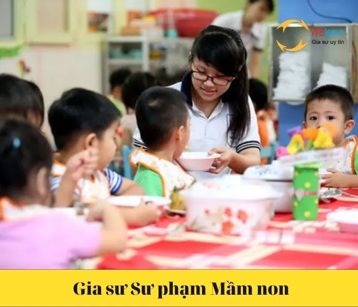Gia sư Sư phạm Mầm non