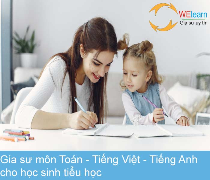 Gia sư các môn Toán Tiếng Việt Tiếng Anh cho học sinh tiểu học