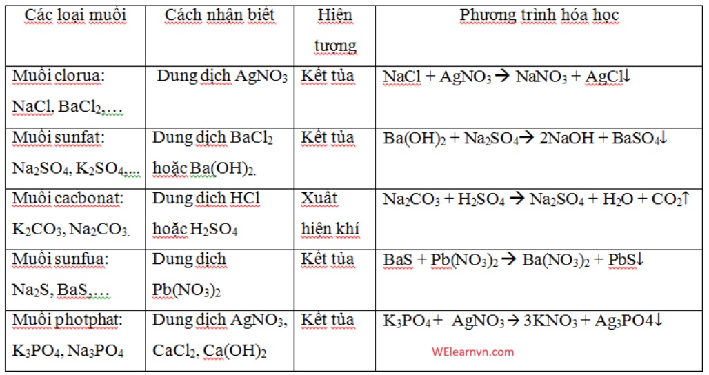 Nhan Biet Cac Dung Dich Muoi