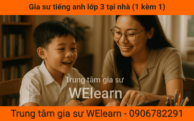 Gia sư tiếng anh lớp 3 tại nhà (1 kèm 1)
